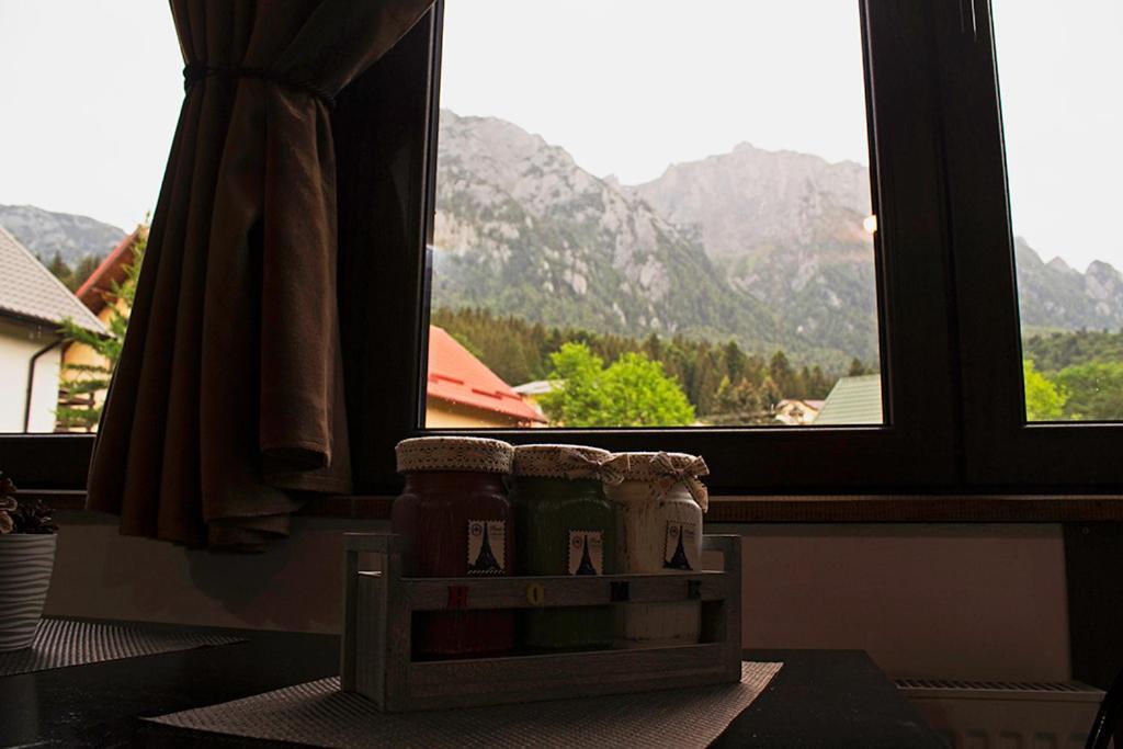 Apartament Mountain Life Buşteni Buitenkant foto