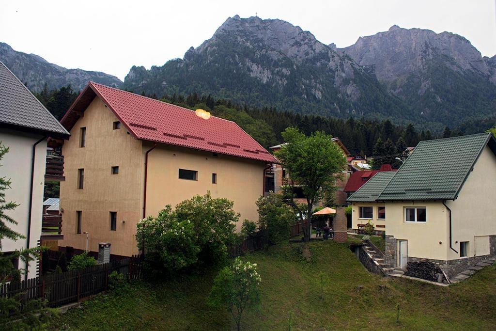 Apartament Mountain Life Buşteni Buitenkant foto
