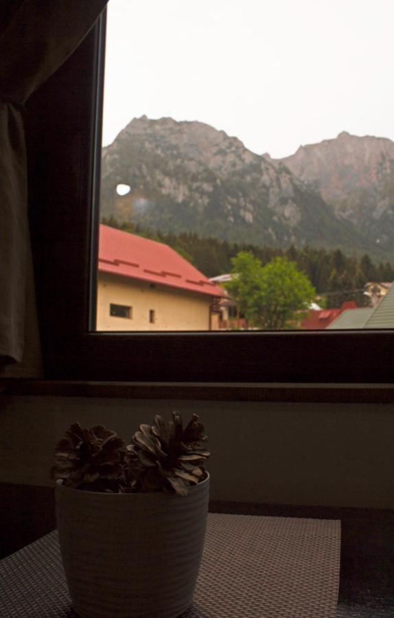 Apartament Mountain Life Buşteni Buitenkant foto
