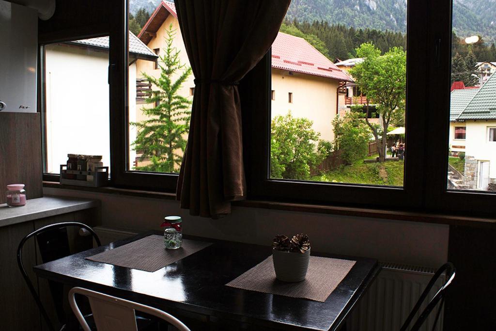 Apartament Mountain Life Buşteni Buitenkant foto