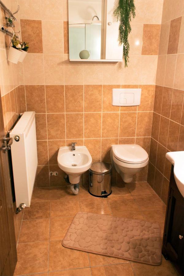 Apartament Mountain Life Buşteni Buitenkant foto